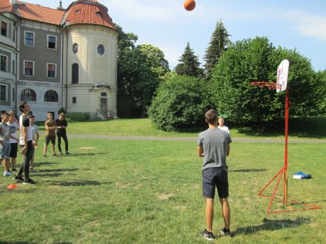 Obrázek v galerii