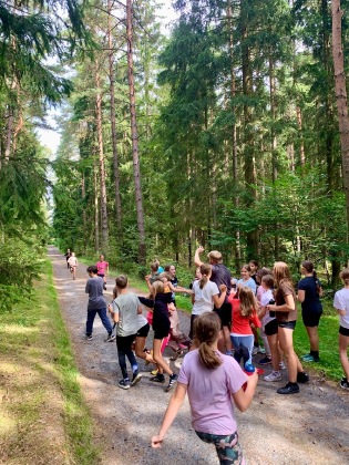 Obrázek v galerii