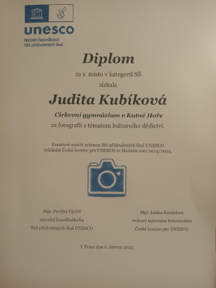 Obrázek v galerii
