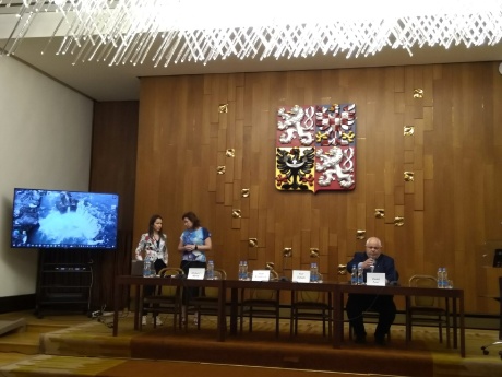 Obrázek v galerii